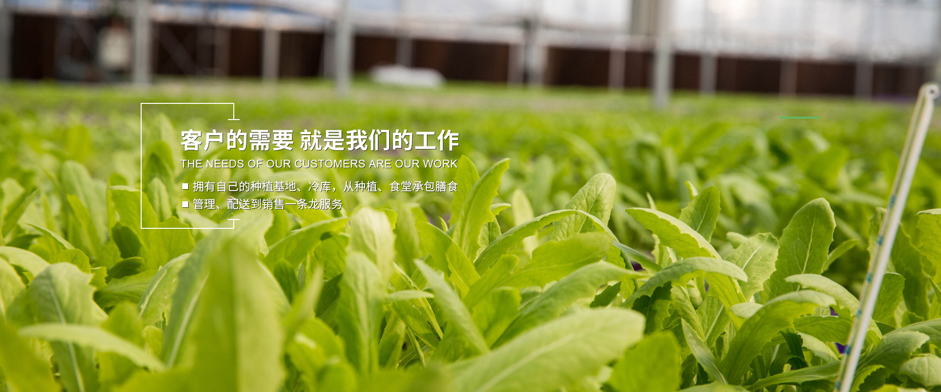 华体会体育官网入口