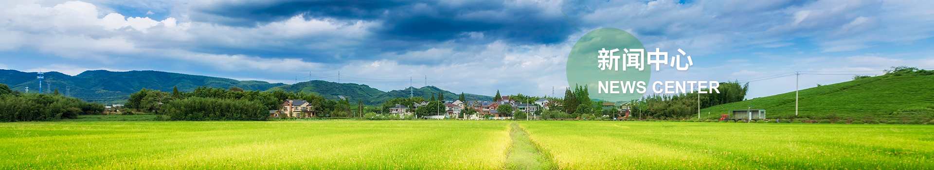 华体会体育网站国米的赞助商 华体会体育网站国米的赞助商
